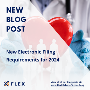 Electronic Filing Requirements Graphic